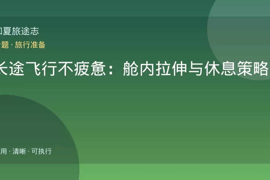 长途飞行不疲惫：舱内拉伸与休息策略